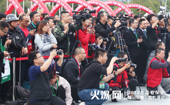 2019��35��ȫ��ֲ��������ʢ���_Ļ������ȼ��ȫ����