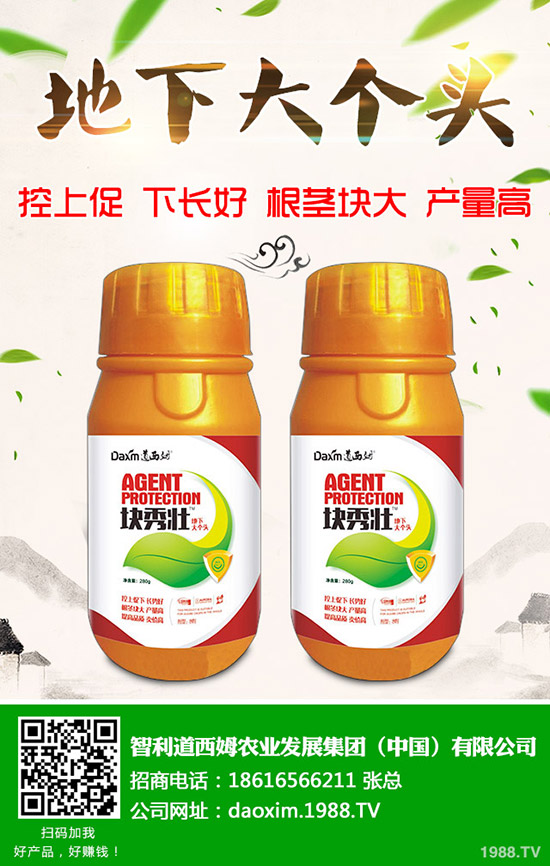 蘿卜得了炭疽病怎么辦？蘿卜炭疽病癥狀和防治方法！