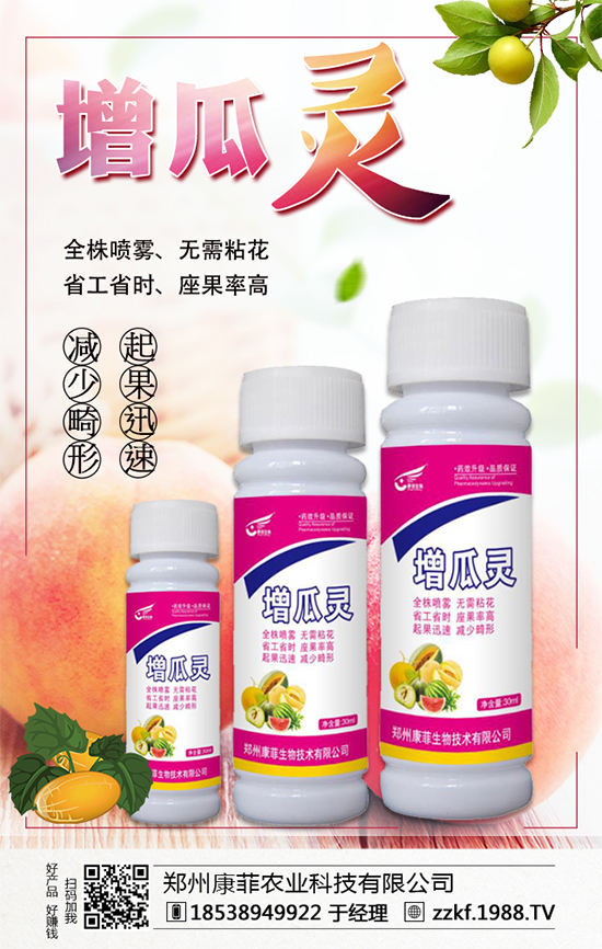 大棚南瓜怎么種植？大棚南瓜的種植中要點(diǎn)！