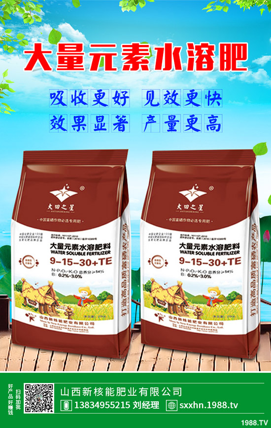 蒲公英種植盈利方式，一畝蒲公英經(jīng)濟(jì)效益怎樣？2020有種植前景么？