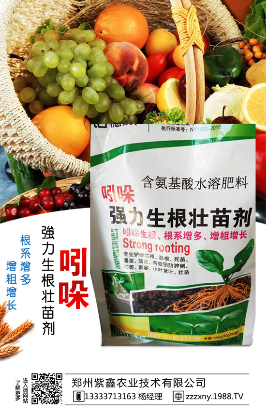 春芝麻種植時(shí)間是什么時(shí)候嗎？春芝麻種植管理技術(shù)！