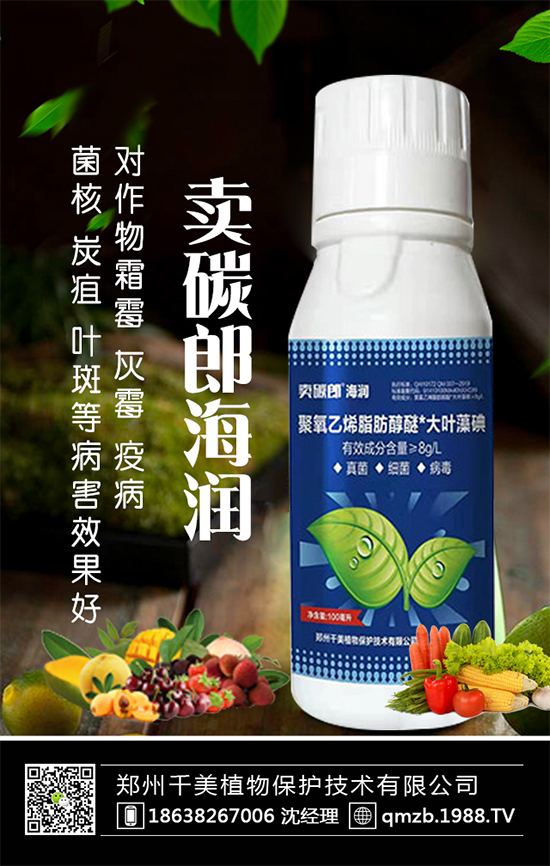 蘆筍什么季節(jié)種植？蘆筍常見病蟲害及防治！