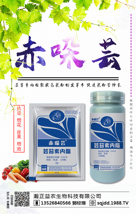 ���t����ʲô����������t��������ķ��η���