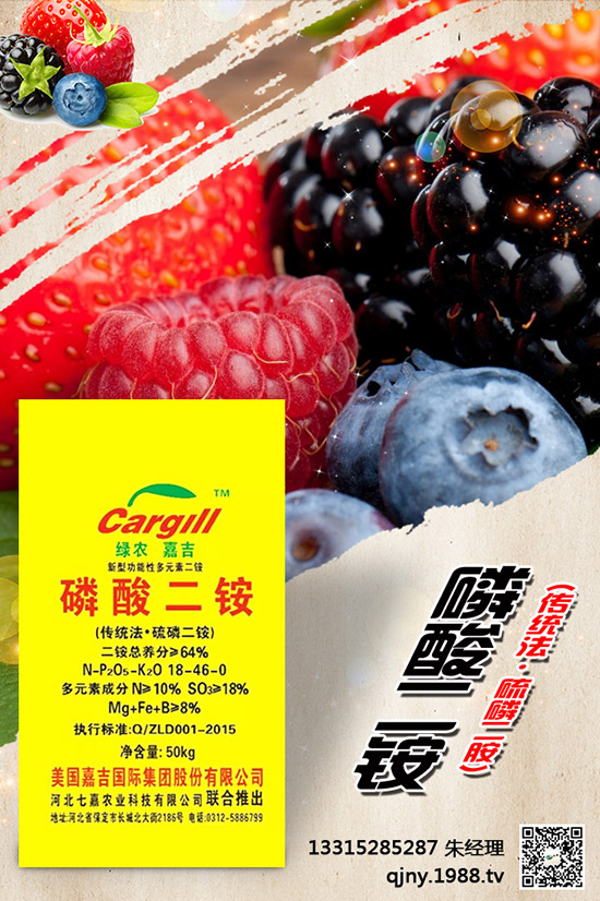 小茴香什么季節(jié)播種？有哪些種植技巧？