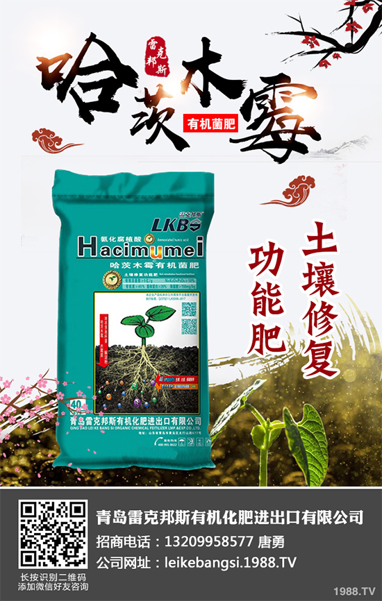 哪些地方適合種植白皮松？白皮松栽培技術(shù)管理