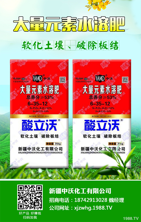 白皮松經(jīng)濟效益如何？2020白皮松的種植前景分析