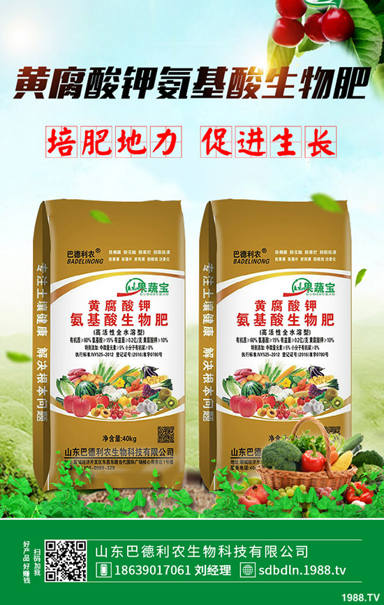     2020年棉花種植如何選購棉種？有什么好的品種推薦？