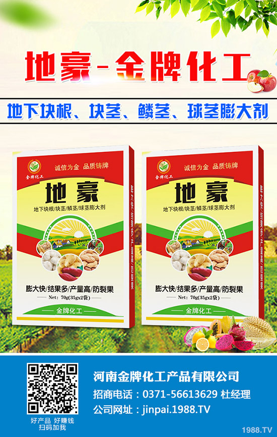 菠菜什么時(shí)候種更合適？菠菜種植技術(shù)和時(shí)間！