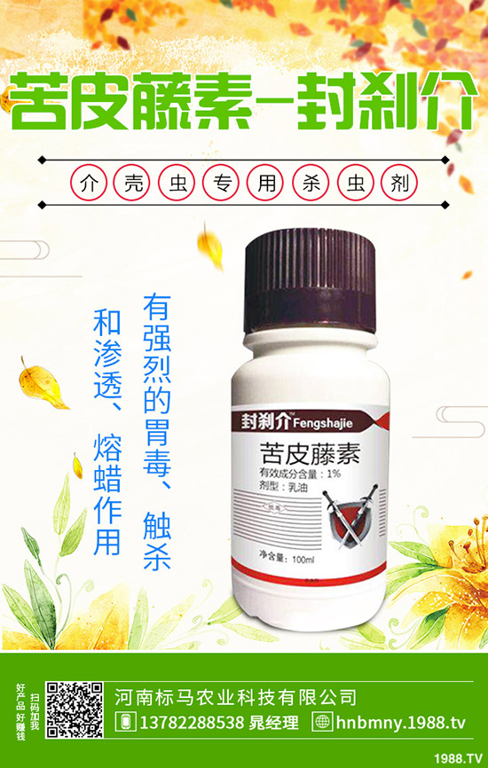 南方水稻什么時候播種，水稻播種育苗要點，快來看看