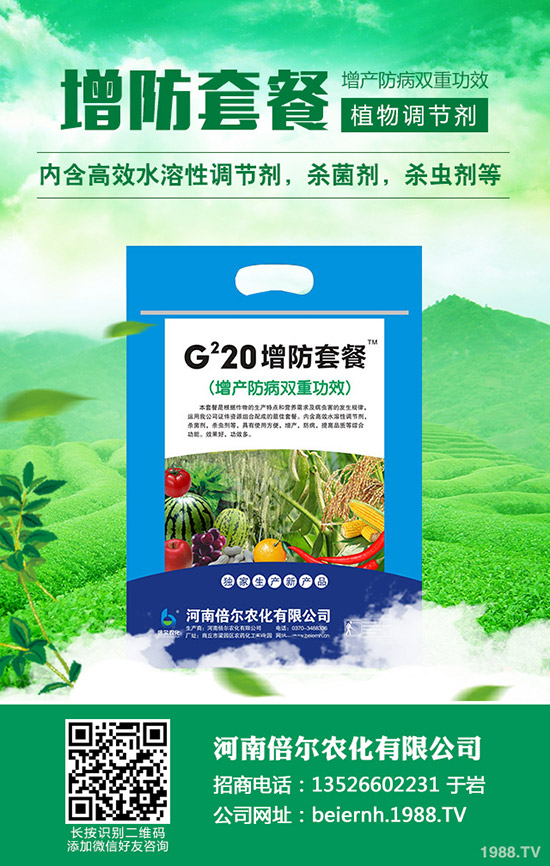 絲瓜如何種植才能高產(chǎn)？學(xué)會這幾點，輕松提高產(chǎn)量！