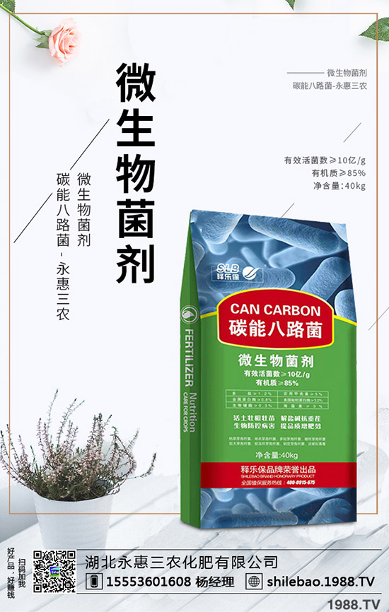     2020年野菜種植賺錢么？一畝能掙多少錢？種植效益如何？