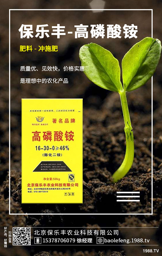 白菜白斑病危害、發(fā)病規(guī)律有哪些？白菜白斑病如何防控？