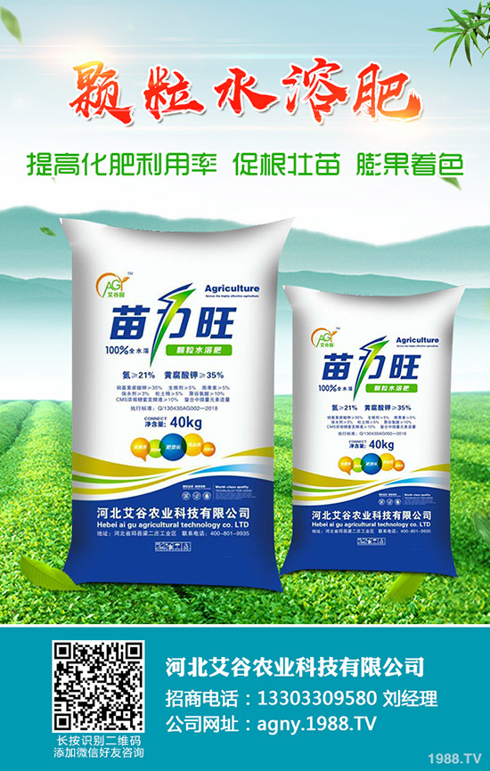 2019-11-30�������¶��@�r���Ո���������@��I(y��)���S�����rһ�[��