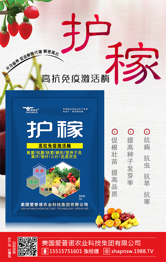 大蒜價(jià)格上漲原因有哪些？2020年大蒜價(jià)格行情預(yù)測(cè)！