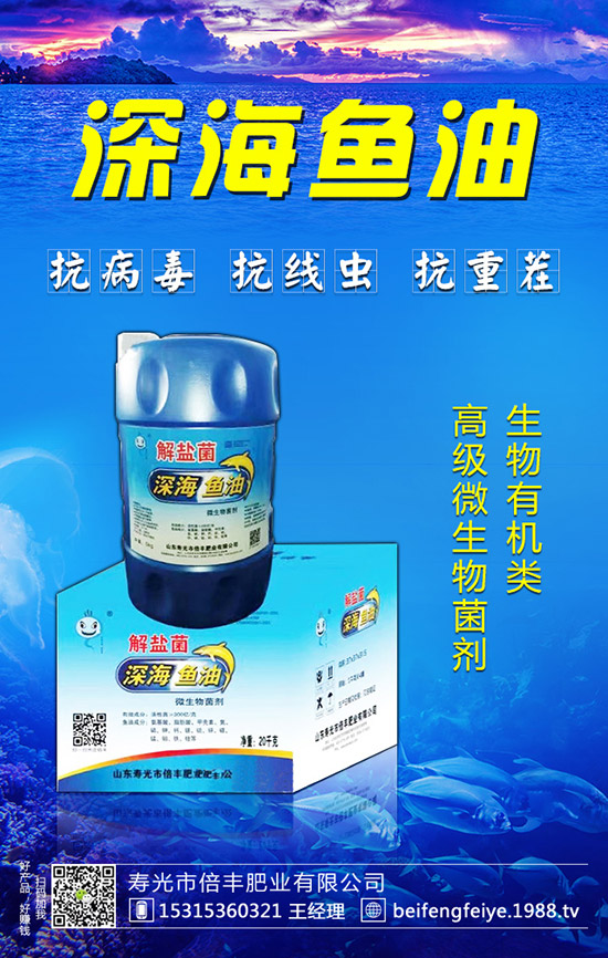 黑枸杞的種植方法，黑枸杞的種植前景