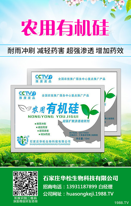 甘草的種植方法有哪些？甘草種植需要什么樣環(huán)境？