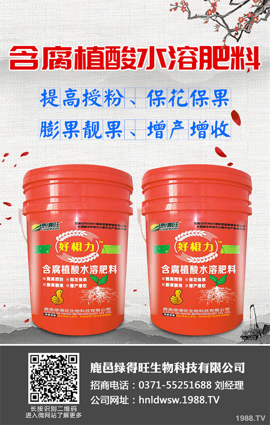 大棚蔬菜沖施肥需要注意什么？冬季大棚蔬菜施肥技術