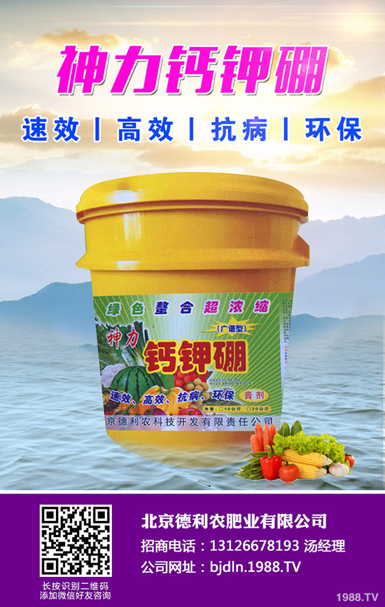 平菇栽培什么環(huán)境好 ，平菇栽培環(huán)境要求及技巧