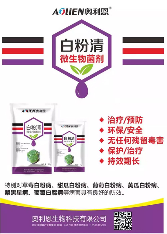 �׷۲�������(f��)�y�p���� ӛס�@��ˎ����Ч���ΰ׷۲����P����