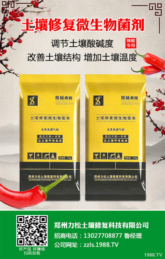 ��Ҭ��ܛ����Σ�����u���Л]�кõķ��η����������������