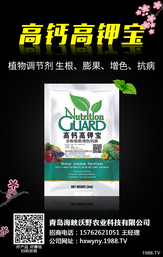 С�����s��ʲô�r(sh��)����θ�����С���s�ݽ�Q������