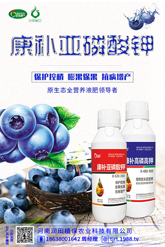 ���콷ʲô���N�����콷�ķNֲ���������x(ch��ng)������