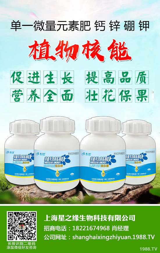 芽菜怎樣種植，芽菜種植技術(shù)您了解多少？