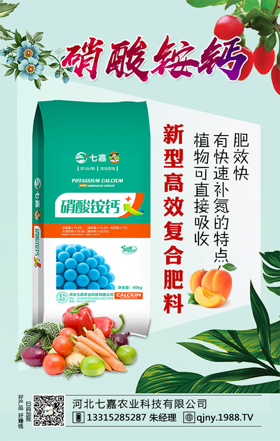 2020年茶籽價(jià)格多少錢(qián)一斤？油茶樹(shù)種植前景如何？（附種植技術(shù)）