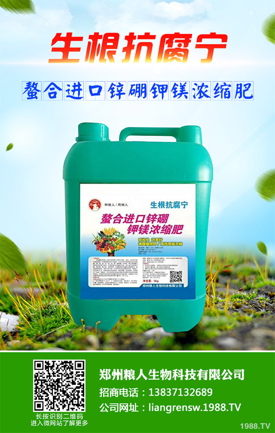 洋薊有哪些營養(yǎng)價(jià)值？洋薊的營養(yǎng)價(jià)值及功效作用