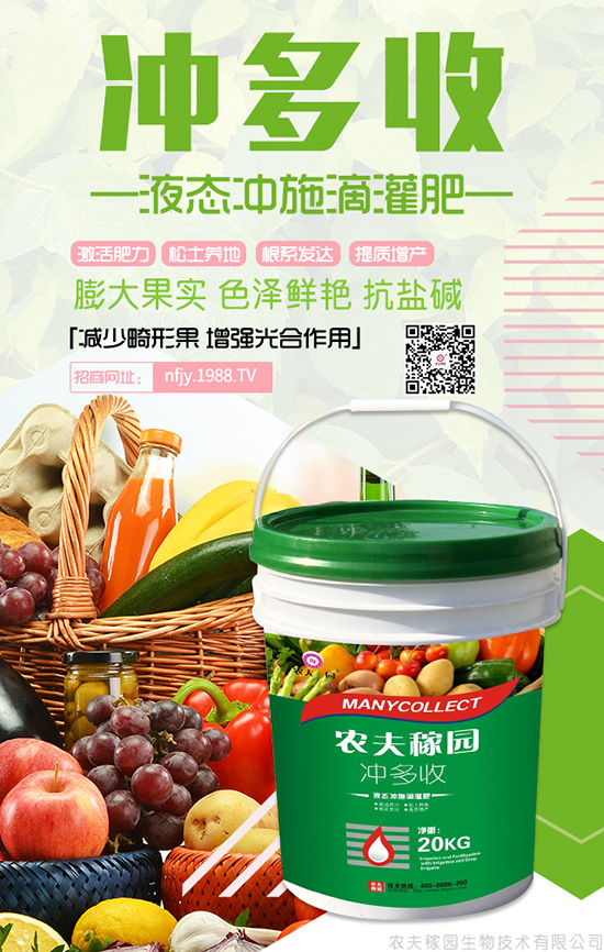 黃芩人工種植技術