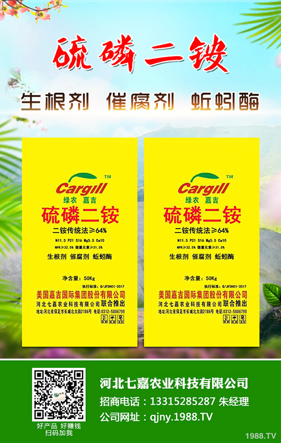 盆栽草莓怎么施肥，盆栽草莓施肥方法有哪些