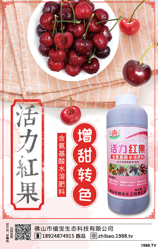 豆角歇伏什么原因？如何應(yīng)對豆角歇伏？