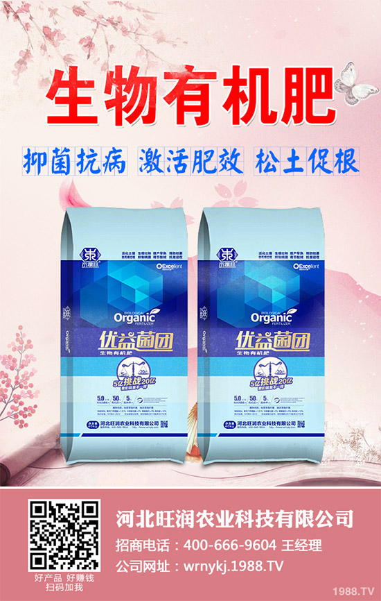 大棚韭菜該怎么種？冬季大棚韭菜種植技術(shù)要點(diǎn)