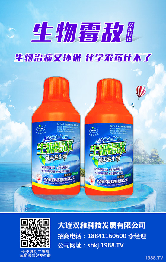 平菇種植其實(shí)不難，注意這幾點(diǎn)，產(chǎn)量會很高！