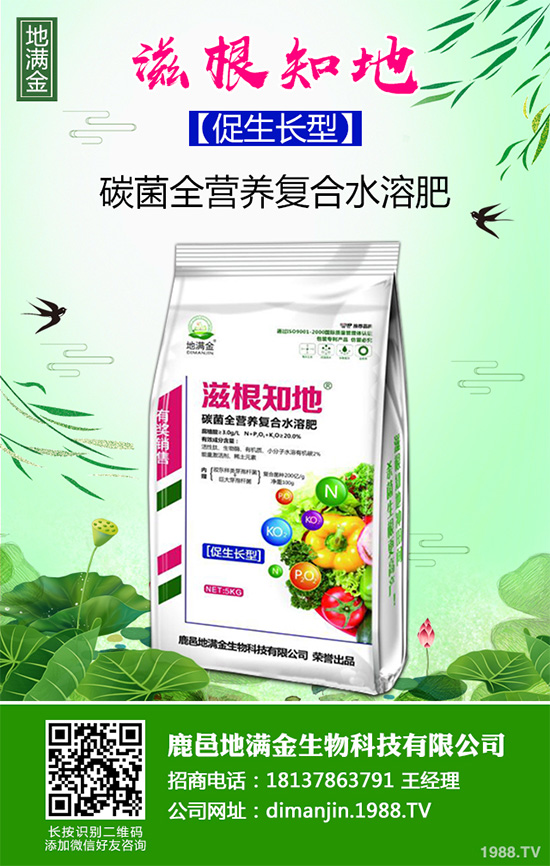 ���G�Ӷ����Xһ����2020�����G�ӷNֲǰ����Ч�����