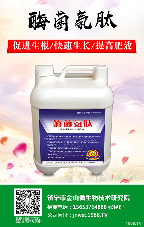 ���Ә���ô�޼������Ә���޼���������Щ����