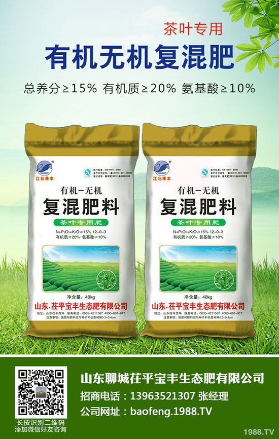     2020年春節(jié)廣西沙糖桔價高不？多少錢一斤？行情走勢如何？