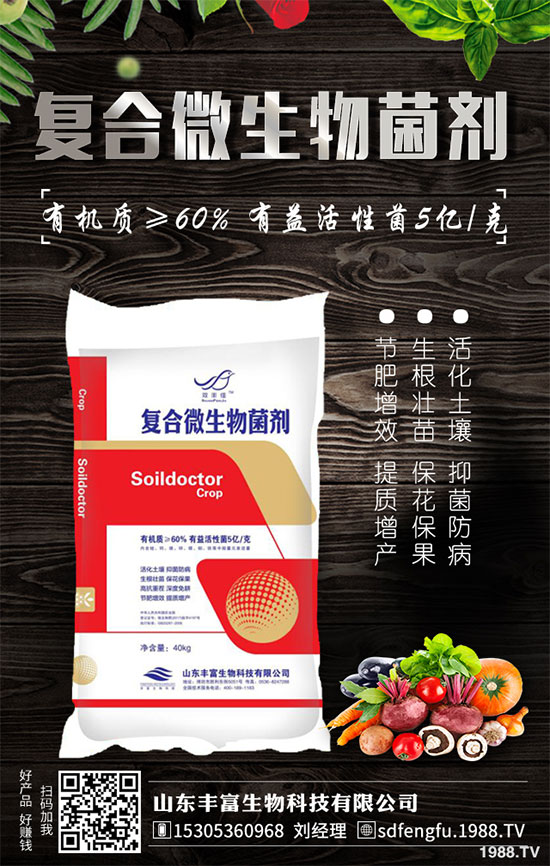 鳳梨是哪里的特產(chǎn)？2020年種植前景如何？