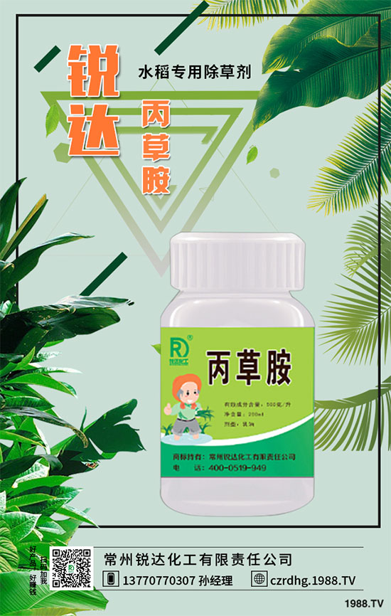 2019��12��13�ճ��݄�ԭˎ�Ј�(ch��ng)�r(ji��)�����