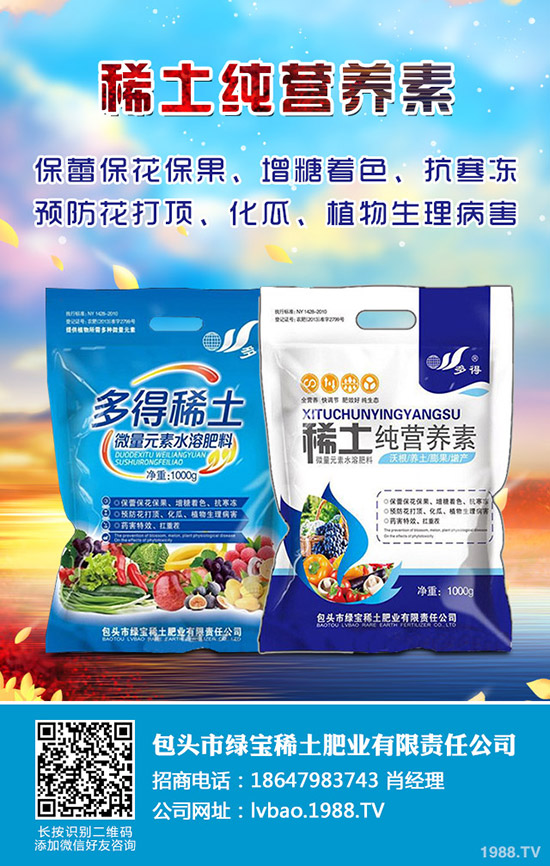 白蠟樹的種植技術(shù)有哪些?白蠟的日常養(yǎng)護管理!