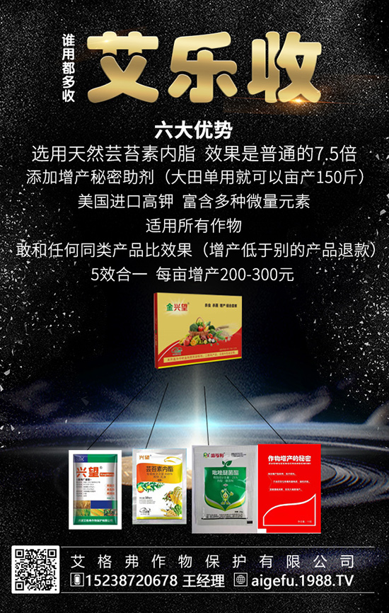 ⛷�С�������҂�һ����������