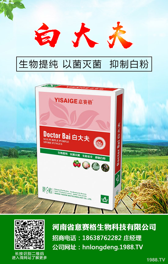 ���Ѷ���ʲô�r(sh��)���^�ã����Ѷ�����ʲô������