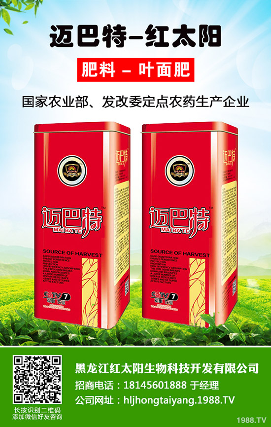 菠蘿種植多久結(jié)果？一年結(jié)幾次果？菠蘿種植方法！