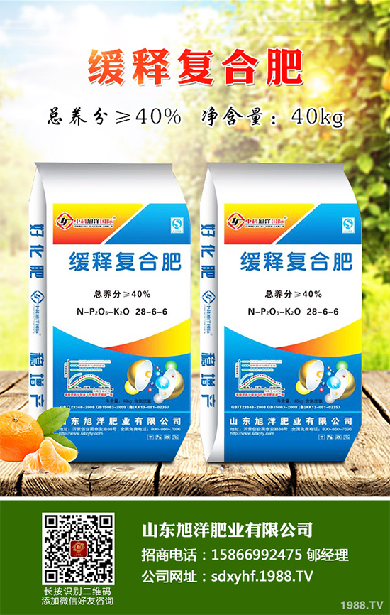 貢菊、杭白菊和胎菊有哪些不同之處？產(chǎn)地在哪？快來看看吧！