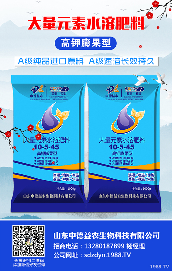 貢菊、杭白菊和胎菊有哪些不同之處？產(chǎn)地在哪？快來看看吧！