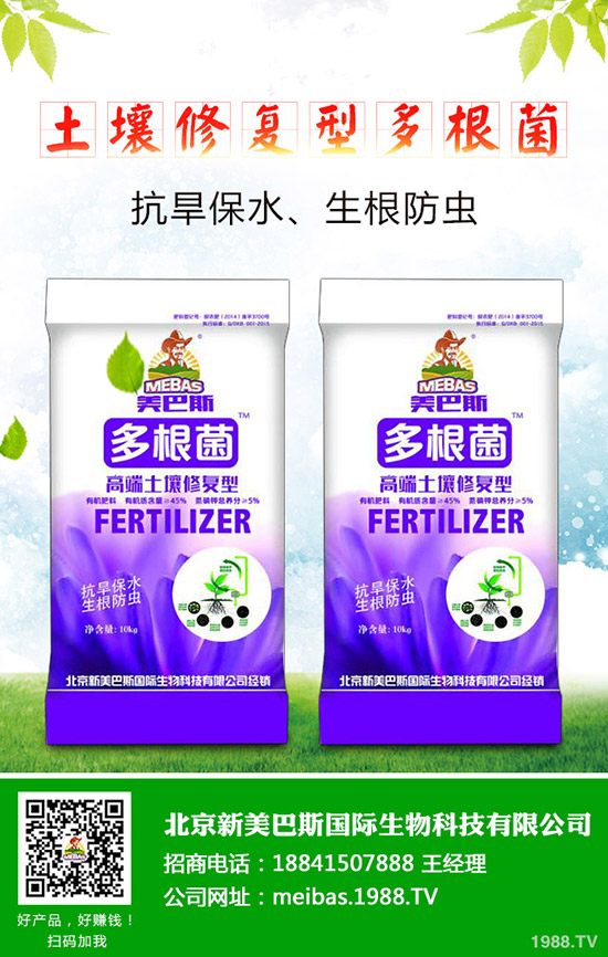 洋蔥的需肥特點(diǎn)有哪些？洋蔥的施肥技術(shù)是什么！