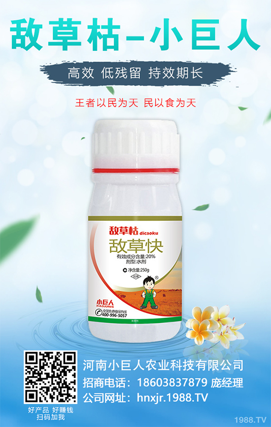 �o�����Nֲ������ô��������܌��F(xi��n)�Nֲ�߮a(ch��n)��