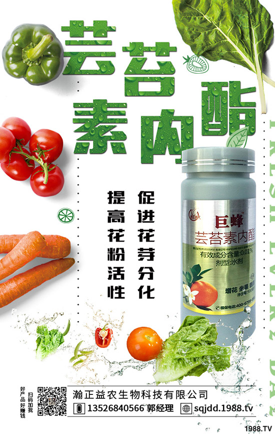 �����߲˲ɹ��ʵ�Σ���������ߴ����߲˲ɹ��ʣ�