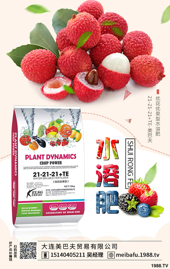 2019-12-19���@�r(ji��)�����f�Ӹ߲��������؅^(q��)���@���������