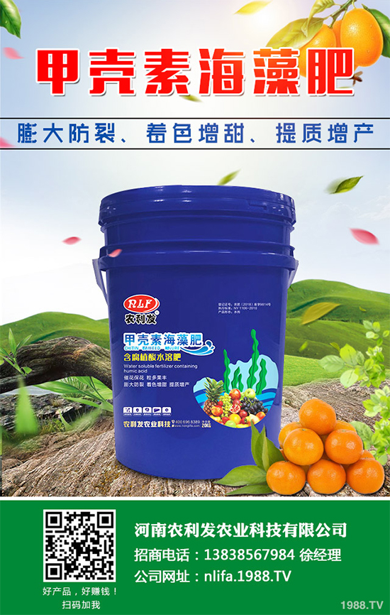 蘑菇種植需要什么條件？蘑菇種植環(huán)境要求